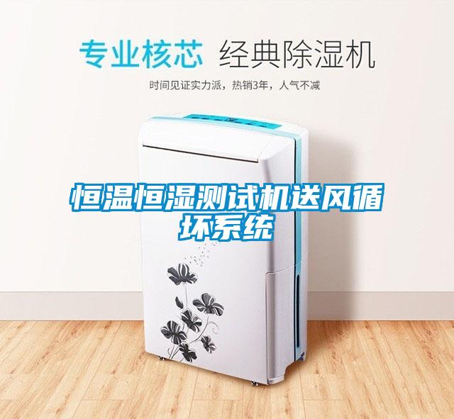 恒溫恒濕測試機送風(fēng)循壞系統(tǒng)