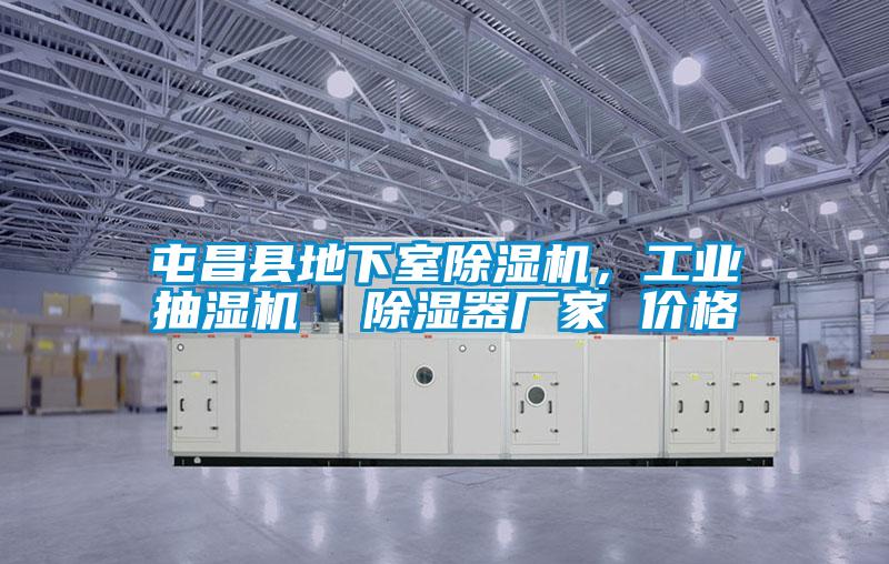 屯昌縣地下室除濕機(jī)，工業(yè)抽濕機(jī)  除濕器廠家 價(jià)格
