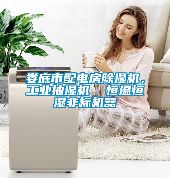 婁底市配電房除濕機，工業(yè)抽濕機  恒溫恒濕非標機器