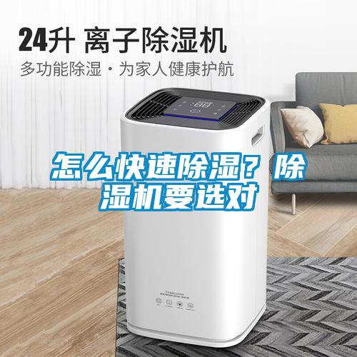 怎么快速除濕？除濕機要選對