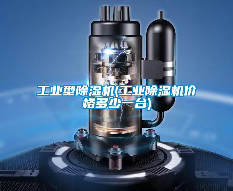 工業(yè)型除濕機(jī)(工業(yè)除濕機(jī)價(jià)格多少一臺)