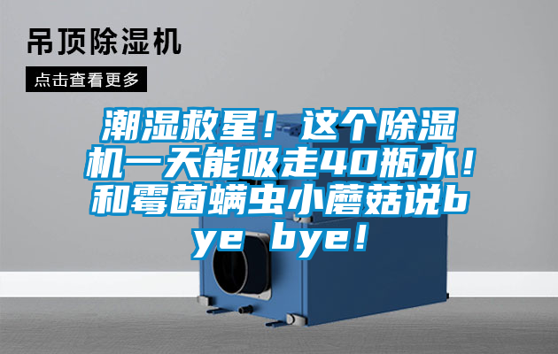 潮濕救星！這個除濕機一天能吸走40瓶水！和霉菌螨蟲小蘑菇說bye bye！