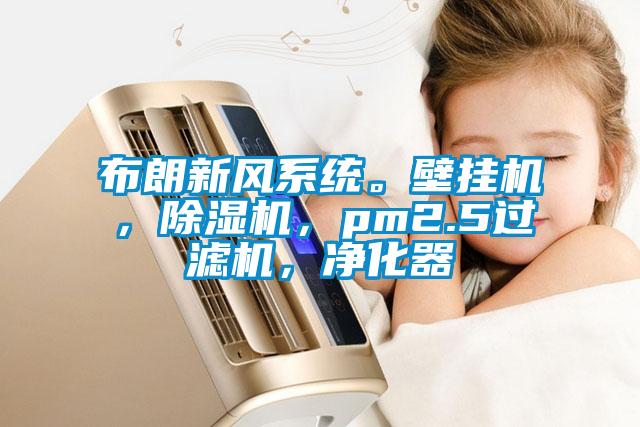 布朗新風系統(tǒng)。壁掛機，除濕機，pm2.5過濾機，凈化器