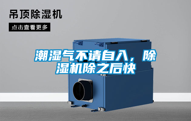 潮濕氣不請自入，除濕機除之后快
