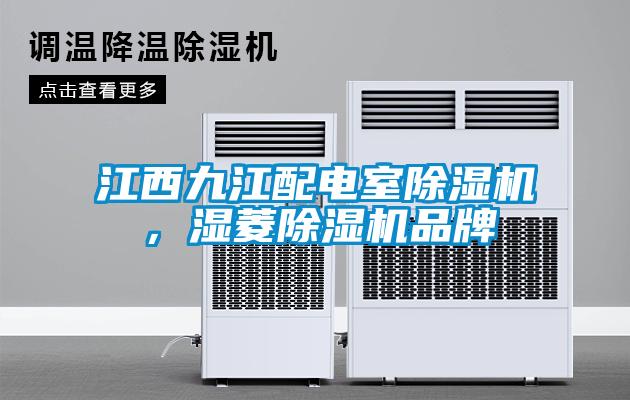 江西九江配電室除濕機，濕菱除濕機品牌