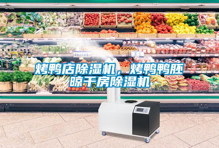 烤鴨店除濕機，烤鴨鴨胚晾干房除濕機