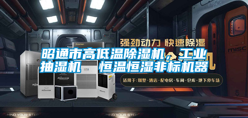 昭通市高低溫除濕機，工業抽濕機  恒溫恒濕非標機器