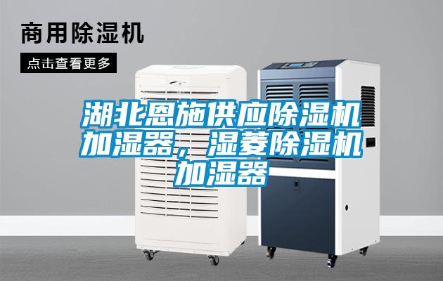 湖北恩施供應除濕機加濕器，濕菱除濕機加濕器
