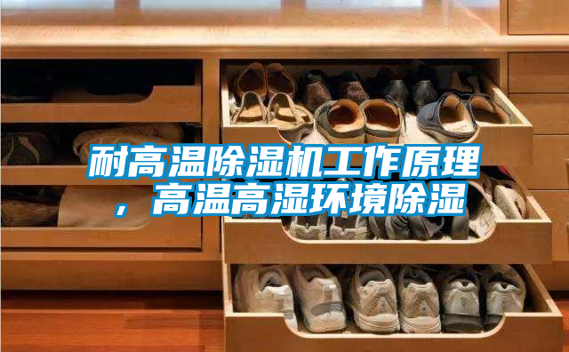 耐高溫除濕機(jī)工作原理，高溫高濕環(huán)境除濕