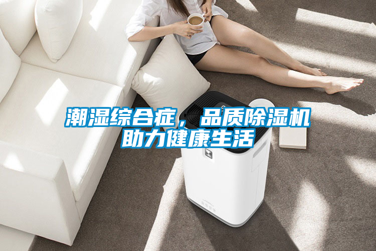 潮濕綜合癥，品質除濕機助力健康生活