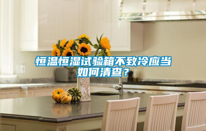 恒溫恒濕試驗箱不致冷應(yīng)當(dāng)如何清查？