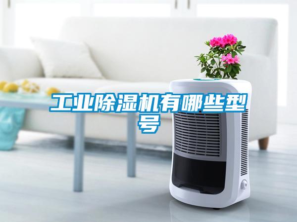 工業(yè)除濕機(jī)有哪些型號