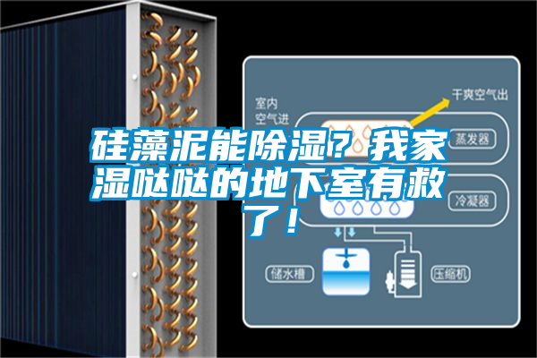 硅藻泥能除濕？我家濕噠噠的地下室有救了！