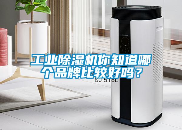 工業(yè)除濕機(jī)你知道哪個(gè)品牌比較好嗎？
