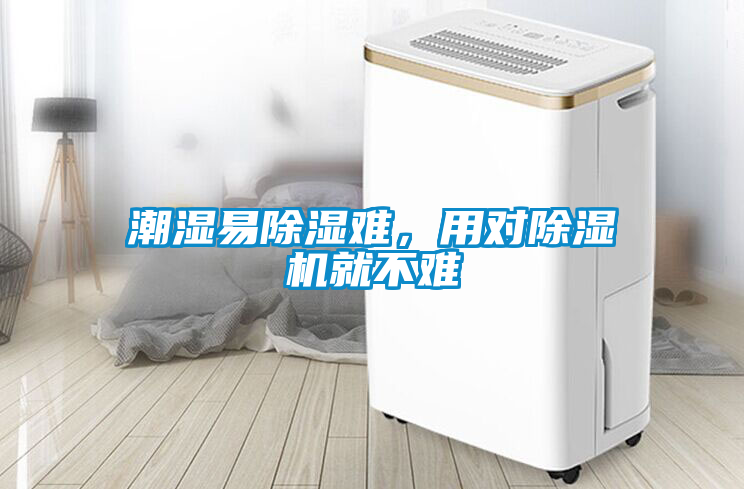 潮濕易除濕難，用對除濕機就不難