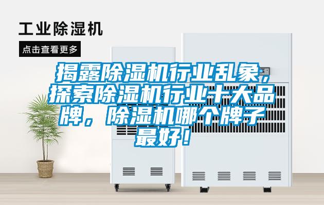 揭露除濕機行業(yè)亂象，探索除濕機行業(yè)十大品牌，除濕機哪個牌子最好！