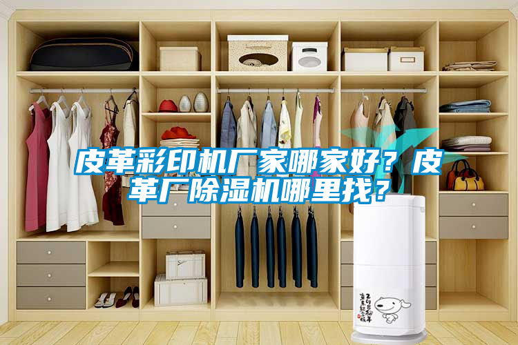 皮革彩印機廠家哪家好？皮革廠除濕機哪里找？