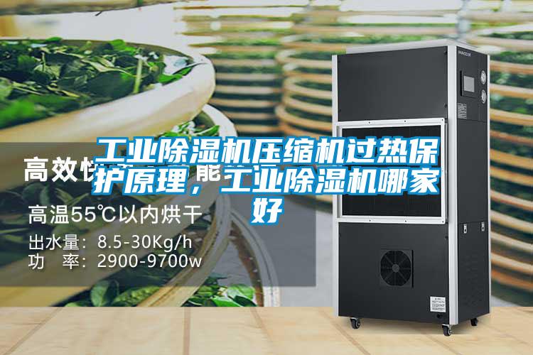 工業(yè)除濕機(jī)壓縮機(jī)過(guò)熱保護(hù)原理，工業(yè)除濕機(jī)哪家好