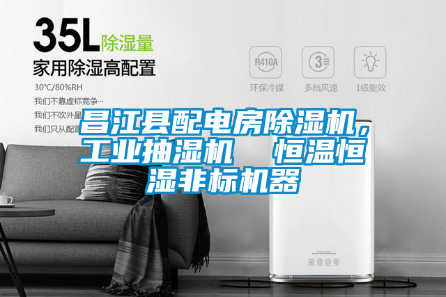 昌江縣配電房除濕機，工業(yè)抽濕機  恒溫恒濕非標機器