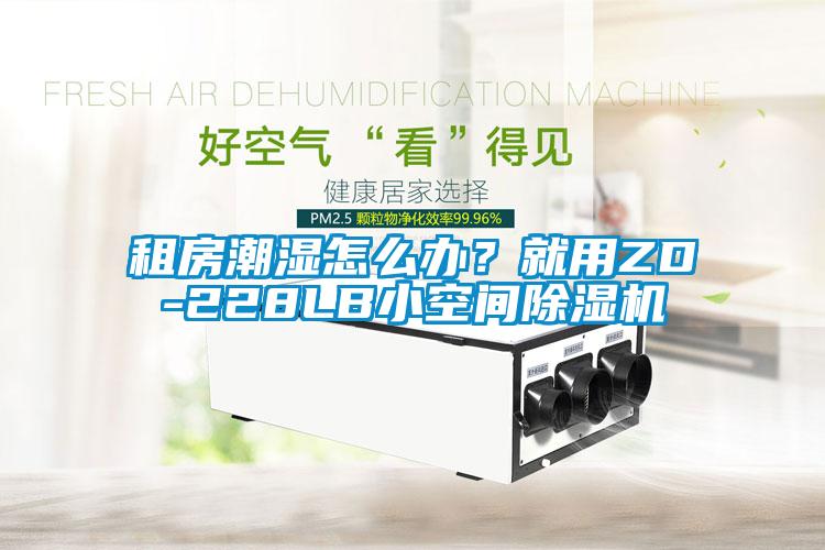 租房潮濕怎么辦？就用ZD-228LB小空間除濕機