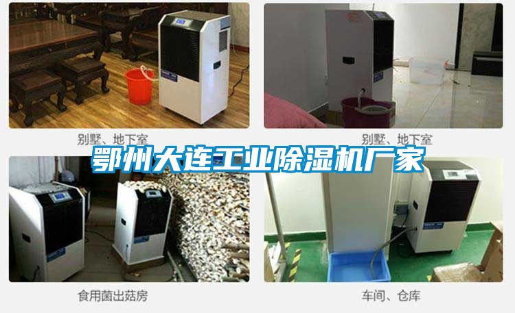 鄂州大連工業(yè)除濕機廠家