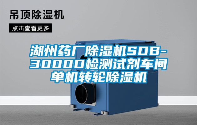 湖州藥廠(chǎng)除濕機(jī)SDB-3000D檢測(cè)試劑車(chē)間單機(jī)轉(zhuǎn)輪除濕機(jī)