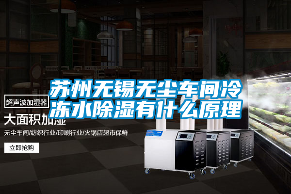 蘇州無(wú)錫無(wú)塵車(chē)間冷凍水除濕有什么原理