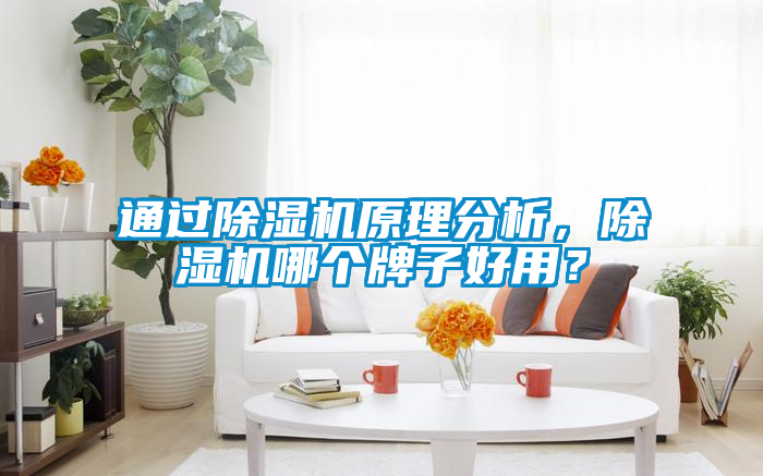 通過除濕機(jī)原理分析，除濕機(jī)哪個(gè)牌子好用？