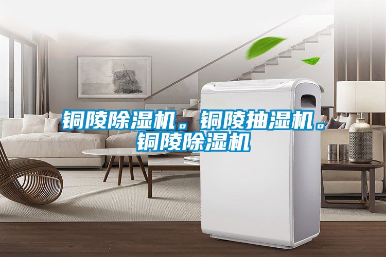 銅陵除濕機。銅陵抽濕機。銅陵除濕機