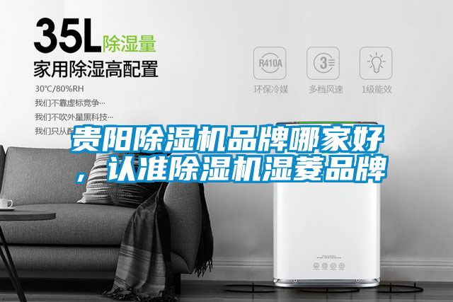 貴陽除濕機品牌哪家好，認(rèn)準(zhǔn)除濕機濕菱品牌