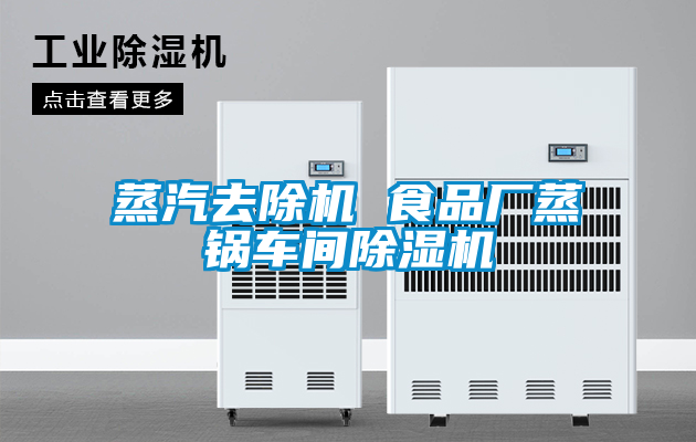 蒸汽去除機(jī) 食品廠蒸鍋車(chē)間除濕機(jī)