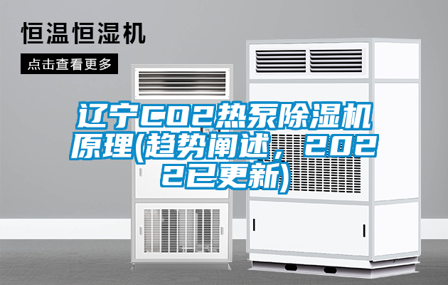 遼寧CO2熱泵除濕機原理(趨勢闡述，2022已更新)