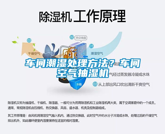 車間潮濕處理方法？車間空氣抽濕機