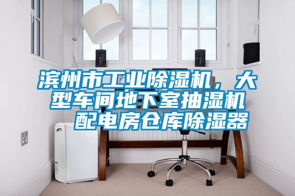 濱州市工業除濕機，大型車間地下室抽濕機  配電房倉庫除濕器