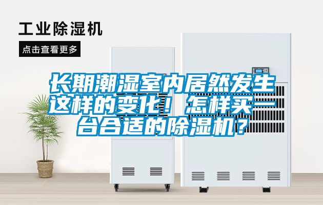 長期潮濕室內居然發生這樣的變化！怎樣買一臺合適的除濕機？