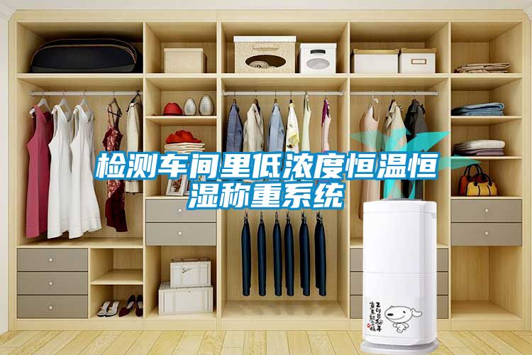 檢測(cè)車(chē)間里低濃度恒溫恒濕稱(chēng)重系統(tǒng)