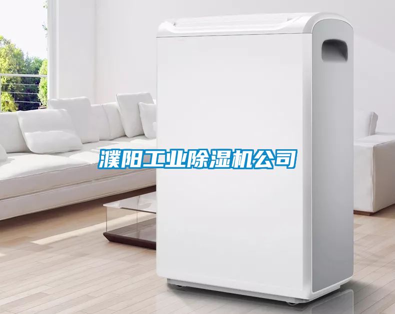 濮陽工業(yè)除濕機(jī)公司