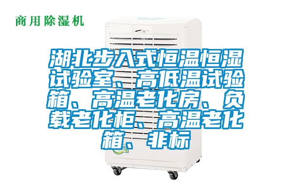 湖北步入式恒溫恒濕試驗室、高低溫試驗箱、高溫老化房、負載老化柜、高溫老化箱、非標