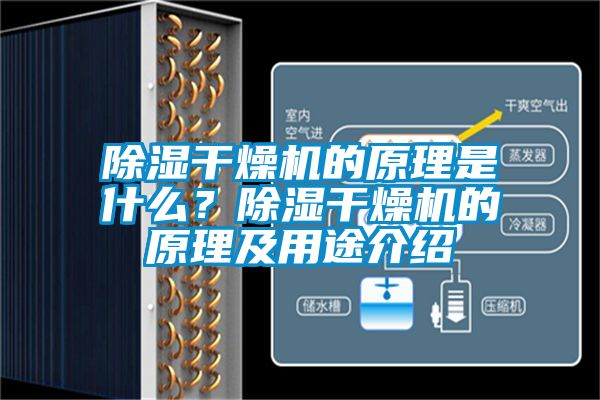 除濕干燥機的原理是什么？除濕干燥機的原理及用途介紹