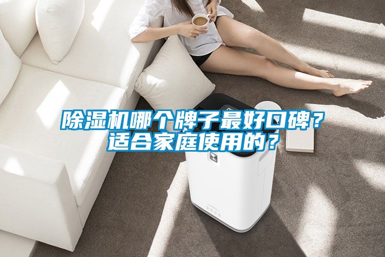 除濕機哪個牌子最好口碑？適合家庭使用的？