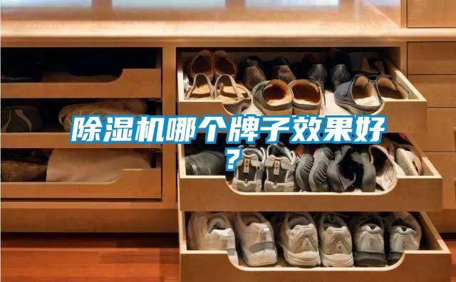 除濕機哪個牌子效果好？