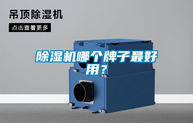 除濕機哪個牌子最好用？