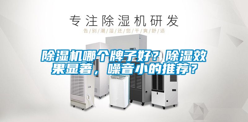 除濕機哪個牌子好？除濕效果顯著，噪音小的推薦？