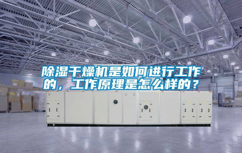 除濕干燥機是如何進行工作的，工作原理是怎么樣的？