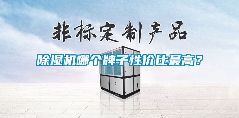 除濕機哪個牌子性價比最高？