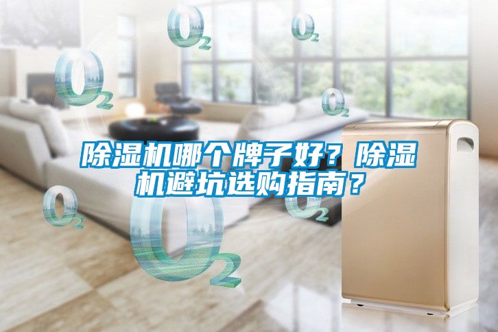 除濕機哪個牌子好？除濕機避坑選購指南？