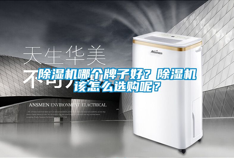 除濕機哪個牌子好？除濕機該怎么選購呢？