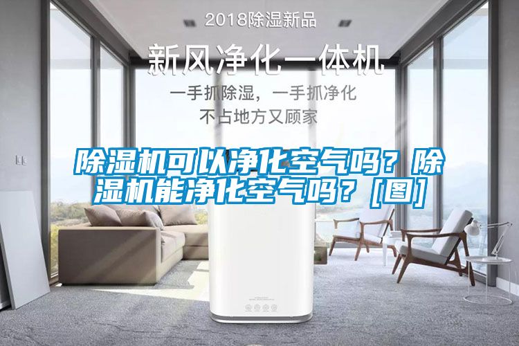 除濕機可以凈化空氣嗎？除濕機能凈化空氣嗎？[圖]