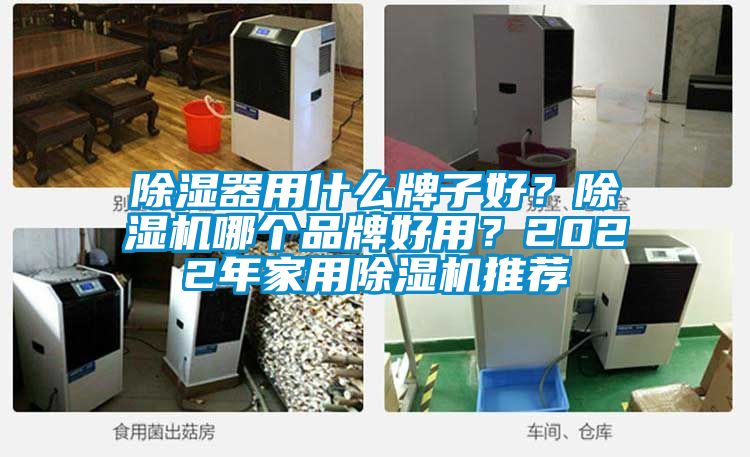 除濕器用什么牌子好？除濕機哪個品牌好用？2022年家用除濕機推薦