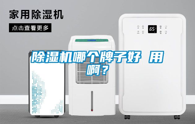 除濕機哪個牌子好 用??？